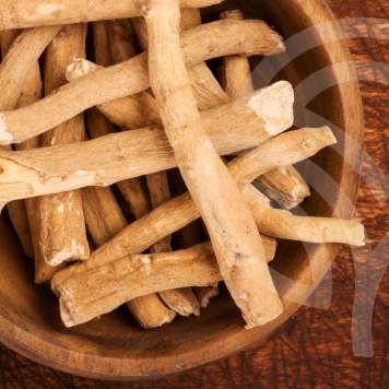 Ashwagandha NSP NSP, modello 23072  | Immagine № 1