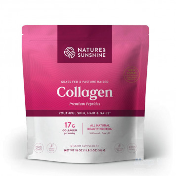 Collagene (516 g) NSP, modello 22336/22336