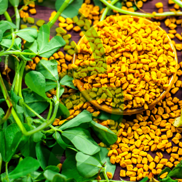 Fenugreek & Thyme NSP NSP, modello 885  | Immagine № 1