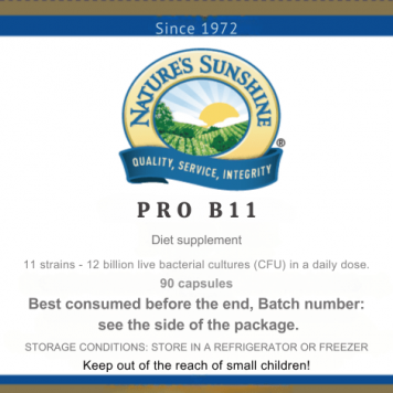 Pro B11 NSP Pro B11 NSP NSP, modello 1510  | Immagine № 1