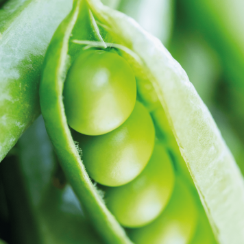 SmartMeal 2-pak NSP, modello 65010  | Immagine № 1