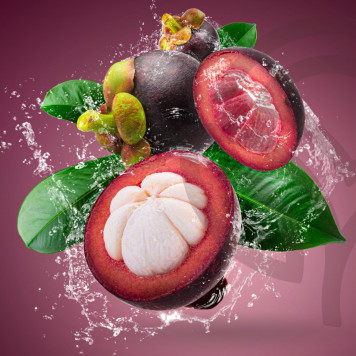 Zambroza NSP NSP, modello 4104  | Immagine № 2