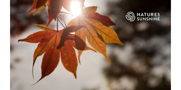 Aggiornamento metabolico autunnale: quali integratori aiutano ad accelerare il metabolismo? Aggiornamento metabolico autunnale: quali integratori aiutano ad accelerare il metabolismo?