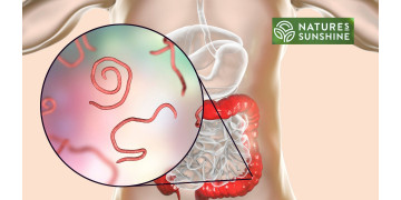 Come sconfiggere parassiti e candidosi in modo sicuro e naturale: il programma NSP