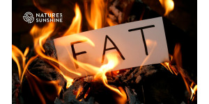 Perché il corpo ha bisogno di grassi? Il ruolo del tessuto adiposo nella difesa tossicologica