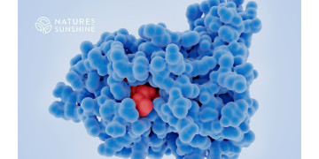 Un approccio nutrizionale alla guarigione dal cancro: come sostenere l'organismo con NSP Un approccio nutrizionale alla guarigione dal cancro: come sostenere l'organismo con NSP