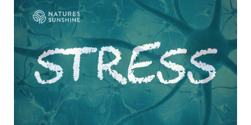Stress e sistema nervoso: come aiutare l'organismo ad adattarsi e a riprendersi Stress e sistema nervoso: come aiutare l'organismo ad adattarsi e a riprendersi