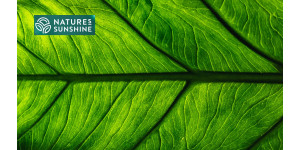 Prodotti intelligenti per le vene varicose: l'esperienza di NSP