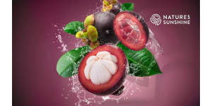 Scudo viola: come Zambroza potenzia la salute vascolare e rallenta l'invecchiamento Scudo viola: come Zambroza potenzia la salute vascolare e rallenta l'invecchiamento