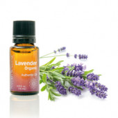 Essential Oil - Lavender