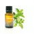 Olio essenziale - Menta piperita NSP